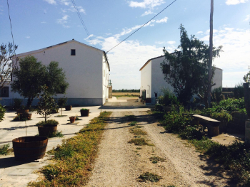 Finca rústica en venda