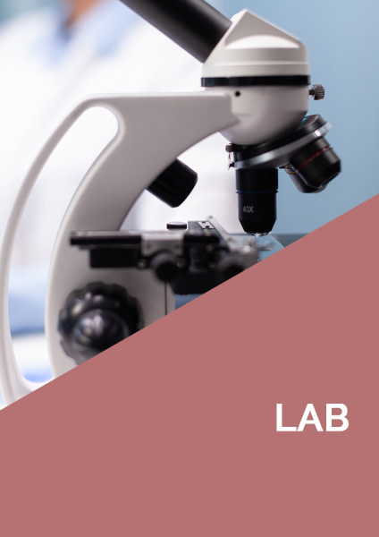 FP - Carpeta ensayos laboratorio