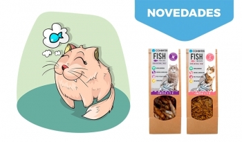Fish For Cats by Cominter. ¿Porque a los gatos les encanta el pescado?.
