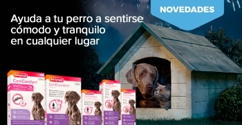 Nueva gama de productos anti-estrés para perros Beaphar CaniComfort