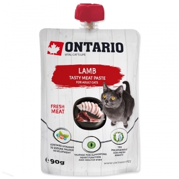 ONTARIO CAT LAMB FRESH MEAT PASTE