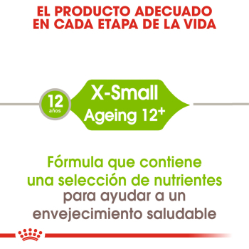 X-SMALL AGEING +12 - 3