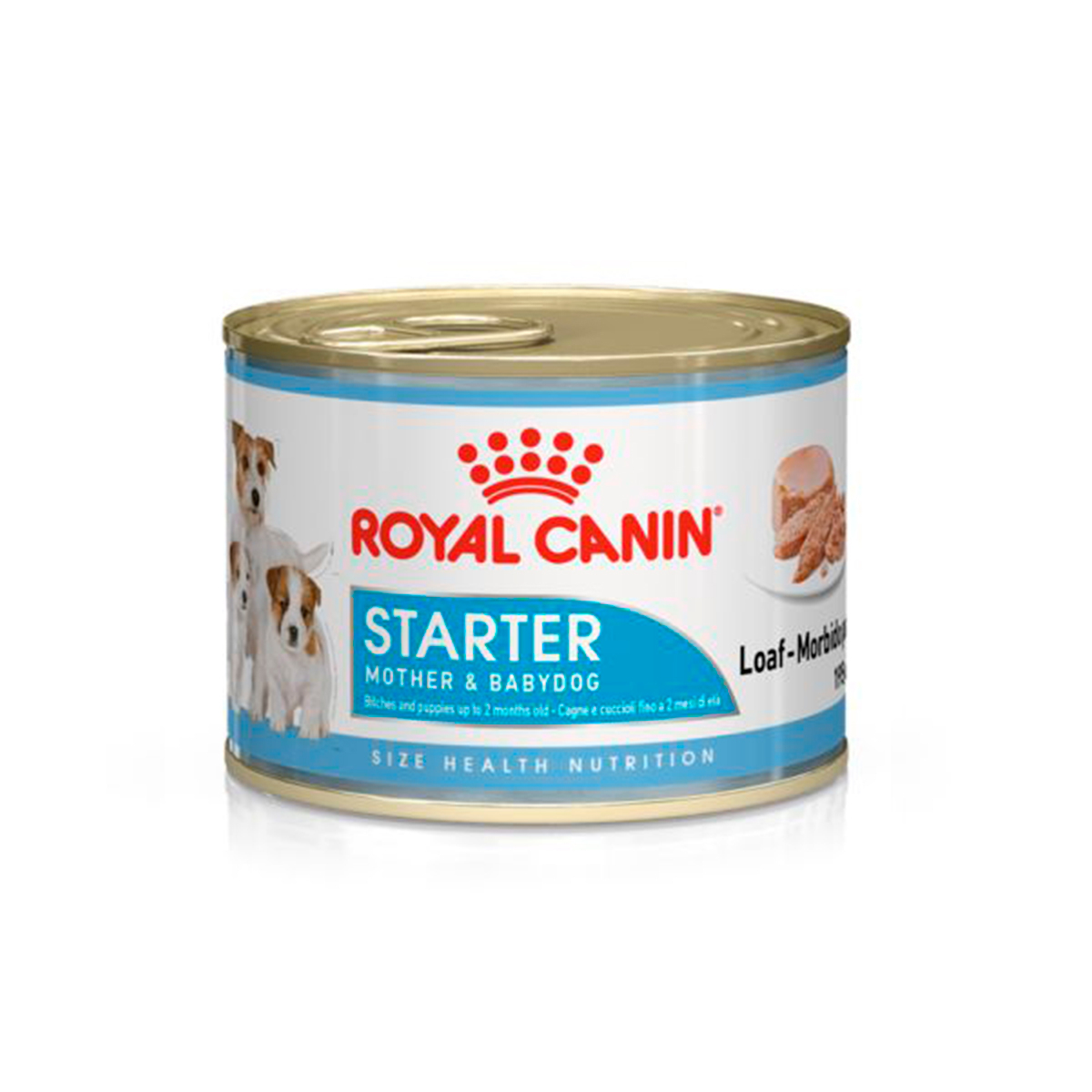 STARTER MOUSSE CANINE