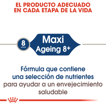 MAXI AGEING +8 CANINE CAJA 10U - 5