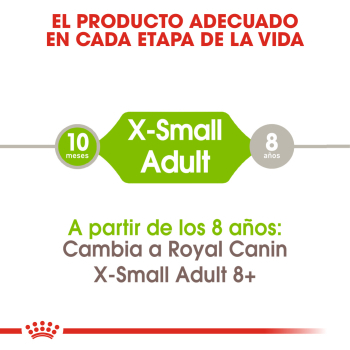 X-SMALL ADULT - 3