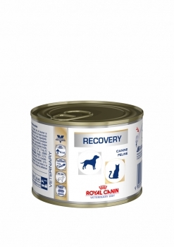 RECOVERY CANINE/FELINE