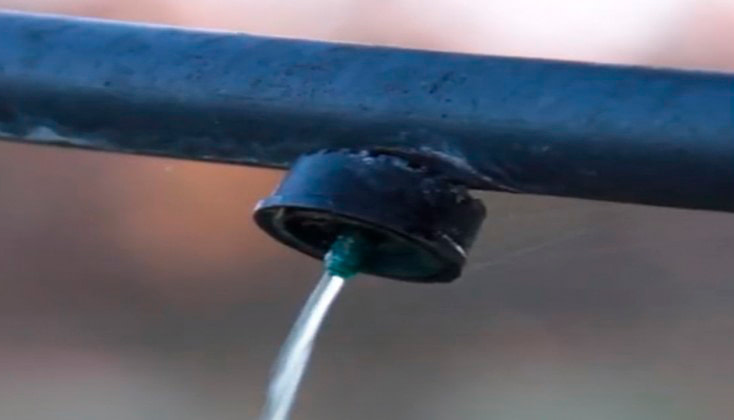 GESTIÓN EFICIENTE DEL AGUA DE RIEGO EN EL CULTIVO DEL AVELLANERO