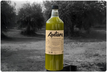 OLI OLIVA VERGE EXTRA RAIG 1L (SENSE FILTRAR)