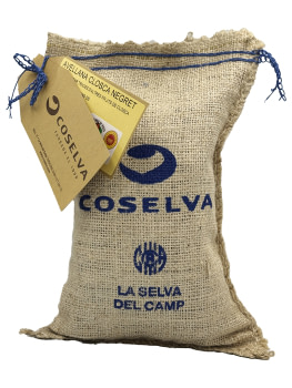 AVELLANA CLOSCA SAQUET 1kg