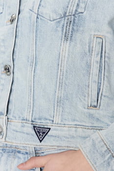 Tejana logo guess - 6