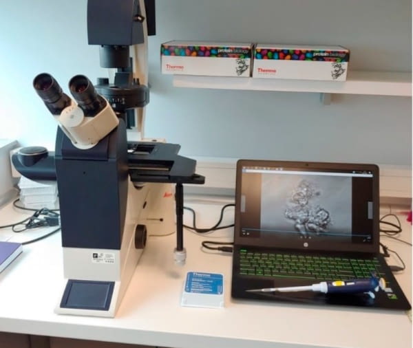Investigación en transplante pulmonar en DCP (Dr. Armengot)