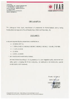 ivar-conformidad-Manifold Declaration ENG.pdf
