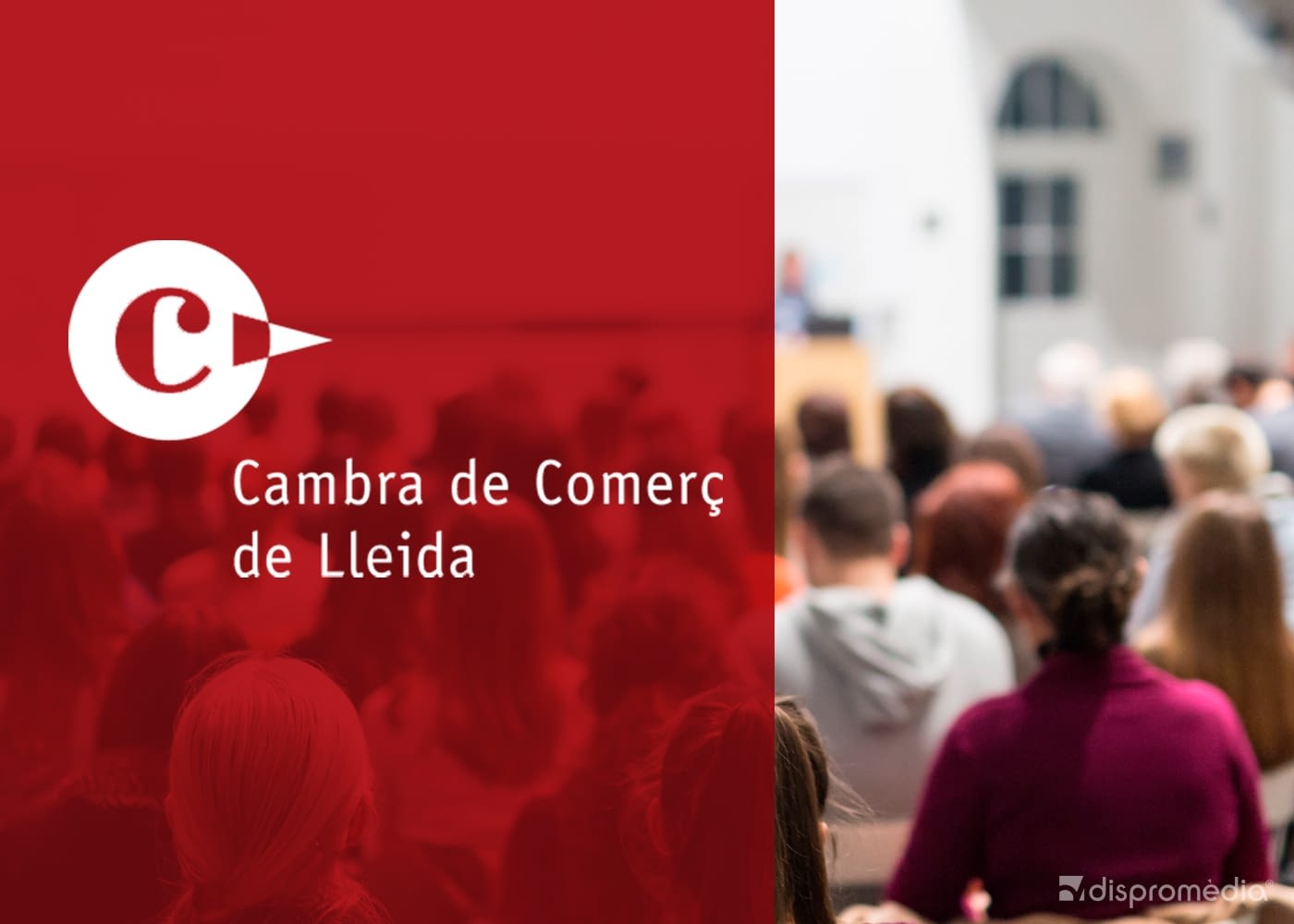 Dinamiza tu marca en un mundo omnicanal