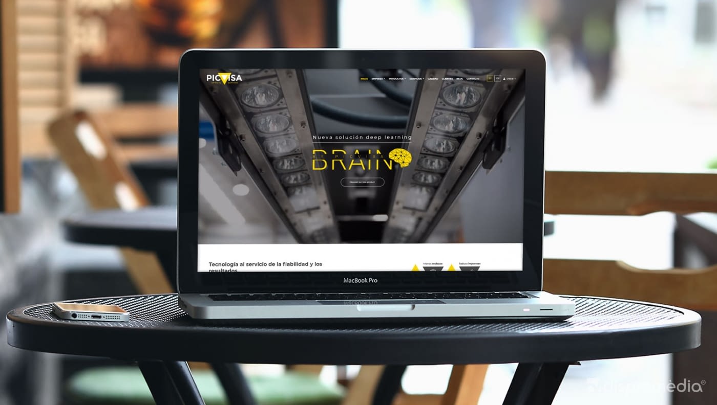 Nueva web de Picvisa