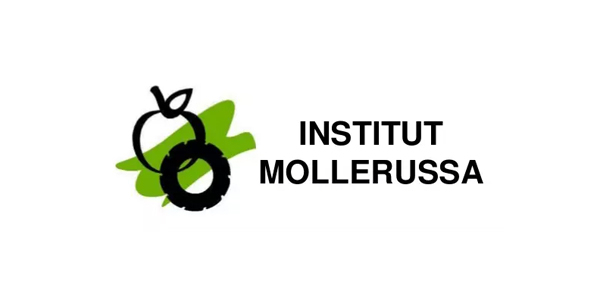 Institut Mollerussa