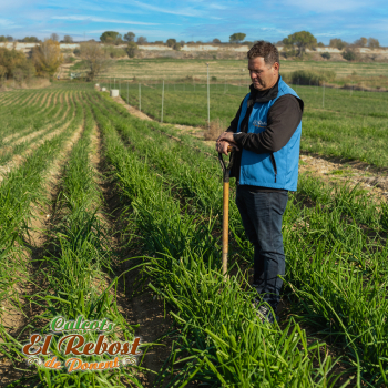 LA TRADICIÓ DELS CALÇOTS I EL COMPROMÍS AMB EL PRODUCTE DE PROXIMITAT