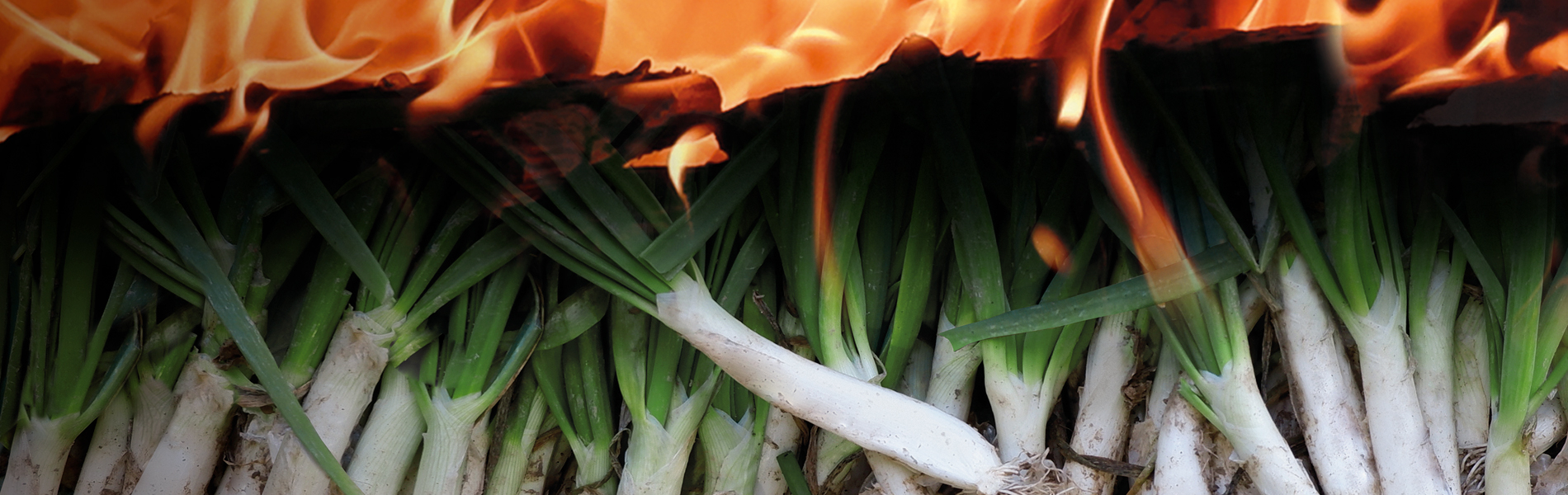 CALÇOTS CUITS