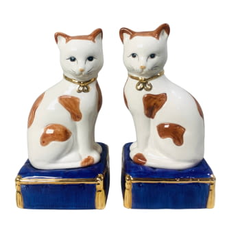 Pareja de gats Giordano di Ponzana