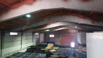 NAVE INDUSTRIAL EN VENTA