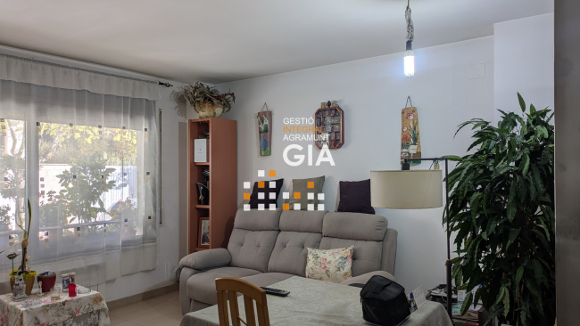 Oportunitat d'Inversió a Agramunt!