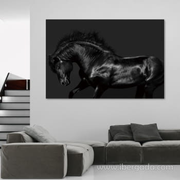 Fotografía Caballo Negro (150x100)
