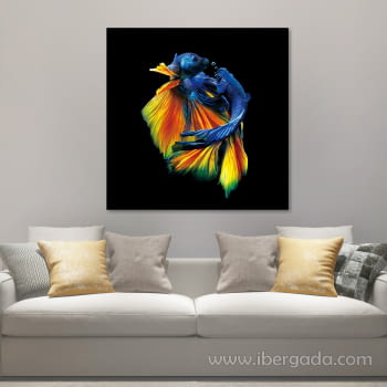 Fotografía Nature 003 (80x80)