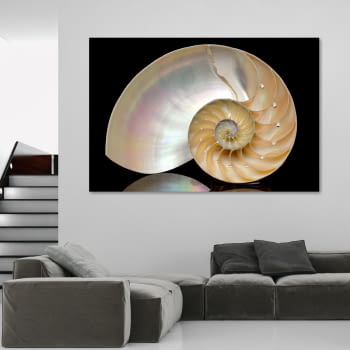 Fotografía Caracol (150x100)