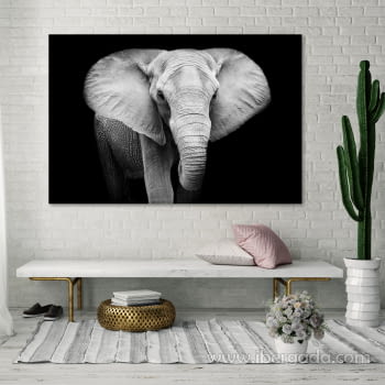 Fotografía Elefante (150x100)