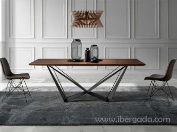 Mesa de Comedor Denis Nogal/Negro (200x100)