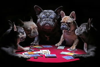 Fotografía Perros con Poker (120x80)