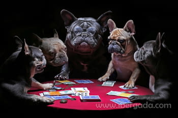 Fotografía Perros con Poker (120x80)