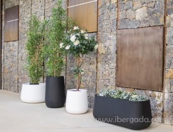 Macetero Camelia High Color (40x40x60)-2
