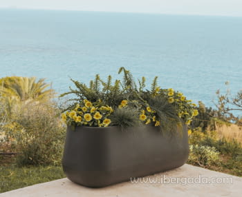 Macetero Camelia Largue Color (98x40x40)