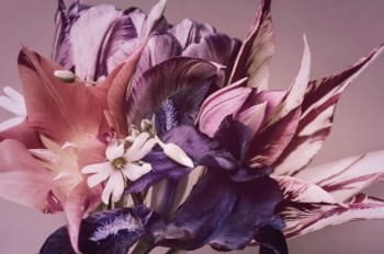 Fotografía Flores Fondo Lila (120x80)
