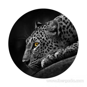Fotografía Leopardo Redondo