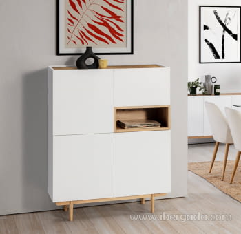 Mueble Aparador Cubo Erika Blanco/Roble (100x41x138)