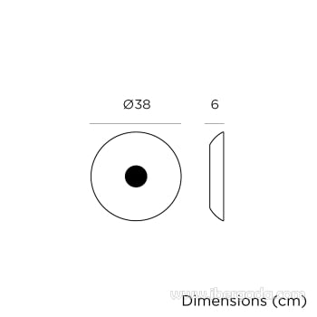 Disco flotante Wally con Altavoz (40x40x6)-9