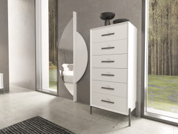 Espejo Vestidor Diseño Metal (80x170)