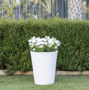 Macetero Gerbrera 45 (45x45x54)
