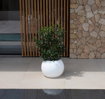 Macetero Dalia 50 (37x37x50)