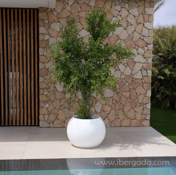 Macetero Dalia 70 (68x68x50)