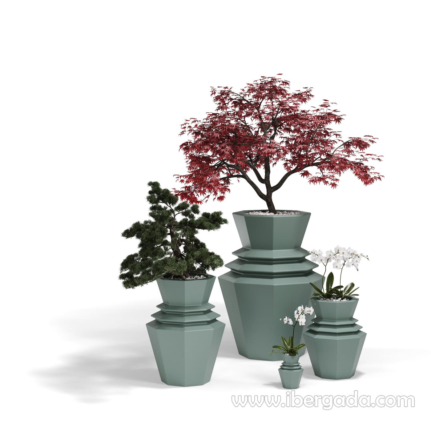 Macetero Origami Hinoki Pequeño (19x19x25)-3