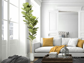 Planta Artificial Higuera Violin (200cm)