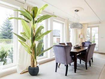 Planta Artificial Platanera (180cm)