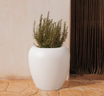 Macetero Areca 60 Color (60x60x58)