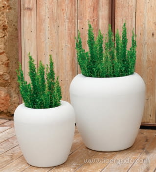 Macetero Areca 80 Color (80x80x78)