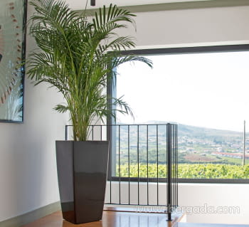 Macetero Pisa Brillo (33x33x61)