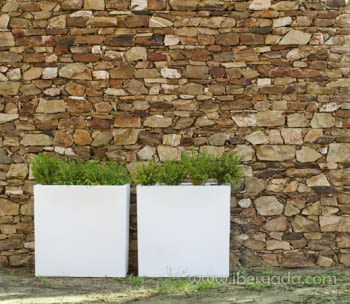 Macetero Junco 80 Color (80x32x80)