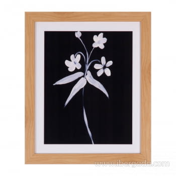 Cuadro LILY Marco Roble (25X30)