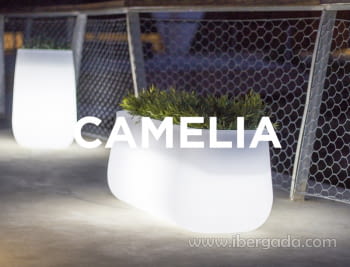 Macetero Camelia Large Light (98X40X40) - 1